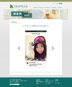 寵物用品網(wǎng)站設(shè)計 打造貼心便捷的在線購物體驗