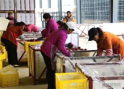 麥積區(qū)首家青年創(chuàng)業(yè)就業(yè)聯(lián)盟示范基地掛牌(圖)