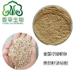 草紅花籽 草紅花籽價(jià)格 報(bào)價(jià) 草紅花籽品牌廠家